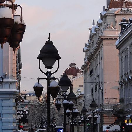 Cozy & Fully Equipped Studio In The Heart Of Downtown And Next To Kalemegdan ベオグラード エクステリア 写真